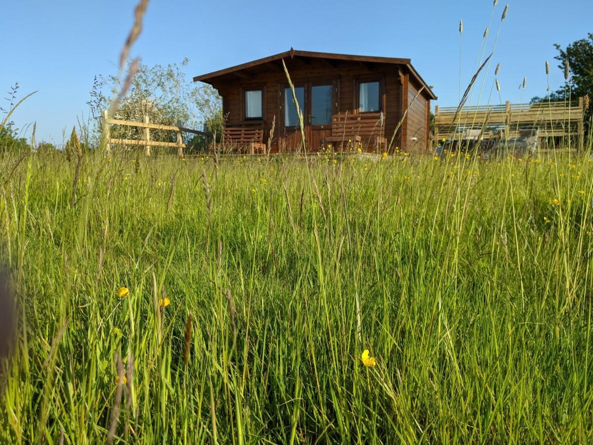 Foxhill Lodges Canterbury Ngoại thất bức ảnh